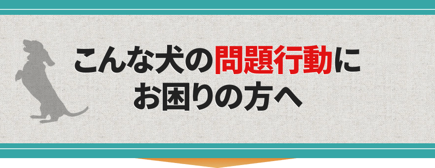 こんな犬の問題行動にお困りの方へ