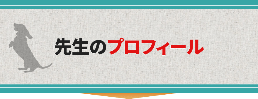 先生のプロフィール