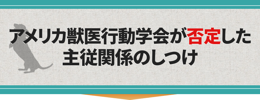 アメリカ獣医行動学会が否定した主従関係のしつけ