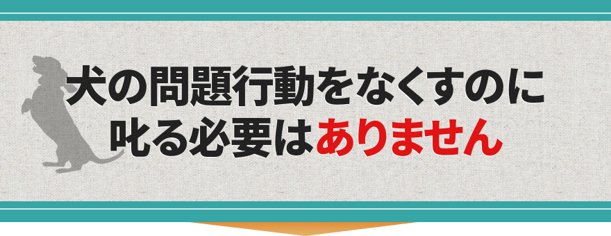 犬の問題行動をなくすのに叱る必要はありません
