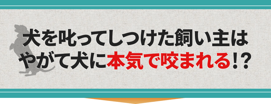 犬を叱ってしつけた飼い主は
やがて犬に本気で咬まれる!?