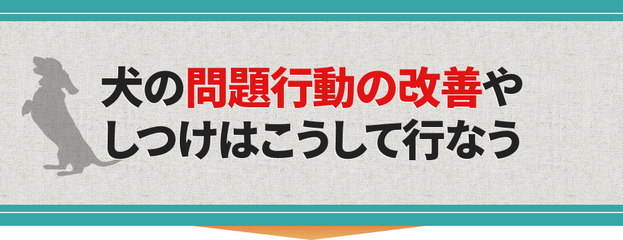 犬の問題行動の改善やしつけはこうして行なう