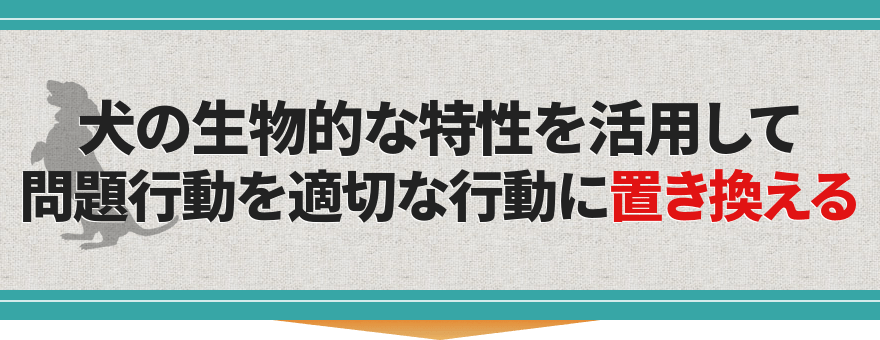 犬の生物的な特性を活用して
問題行動を適切な行動に置き換える