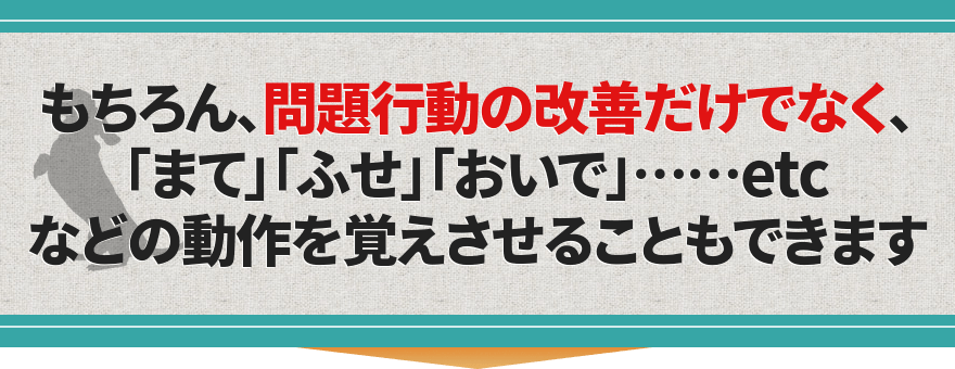 もちろん、問題行動の改善だけでなく、「まて」「ふせ」「おいで」……etcなどの動作を覚えさせることもできます