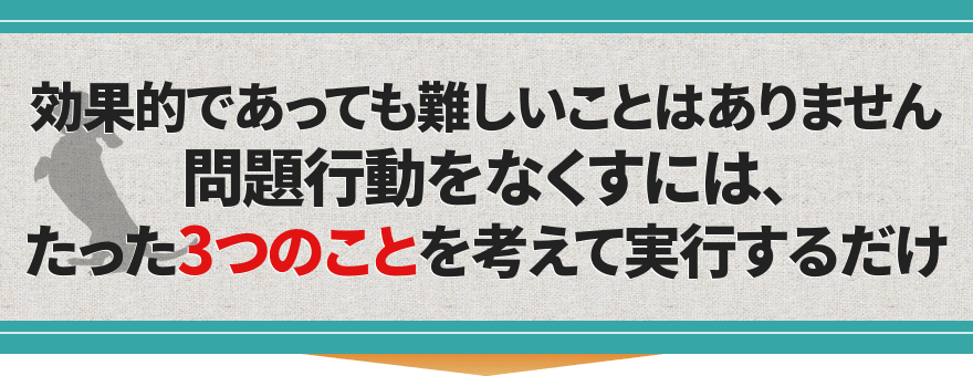 効果的であっても難しいことはありません問題行動をなくすには、たった3つのことを考えて実行するだけ