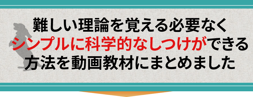 難しい理論を覚える必要なくシンプルに科学的なしつけができる方法をDVDにまとめました