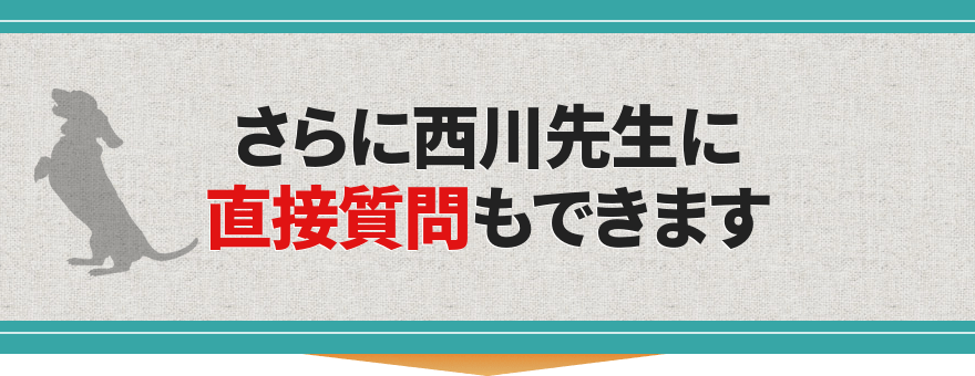 さらに西川先生に直接質問もできます