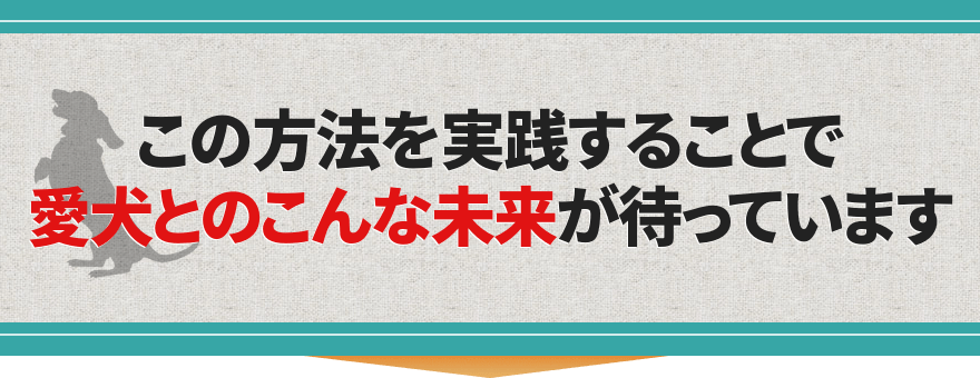 この方法を実践することで
愛犬とのこんな未来が待っています